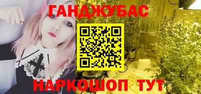 шишки Аргун